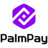 How to Save Your Money on PalmPay – A Guide